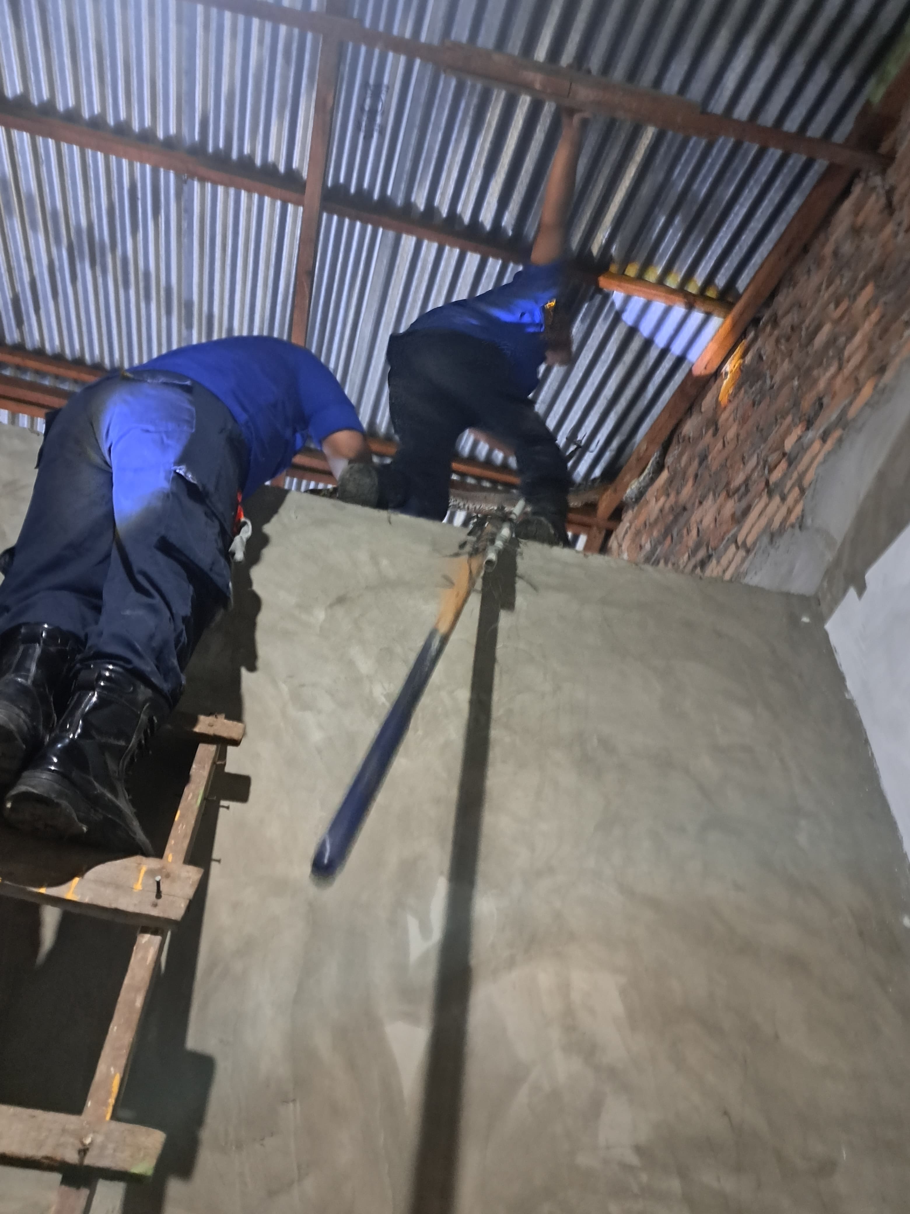 Penanganan Penangkapan Ular