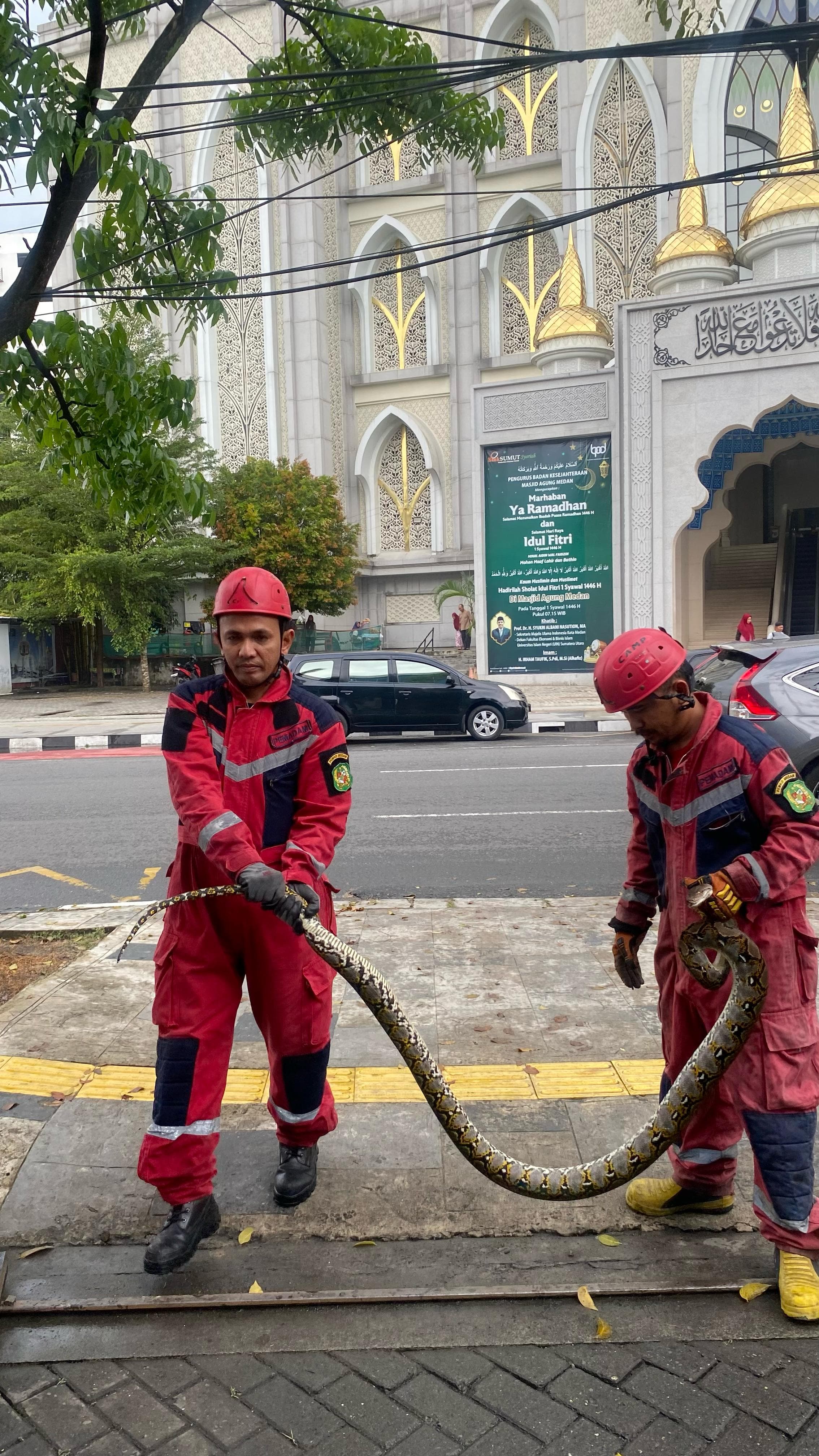 Penangkapan Ular