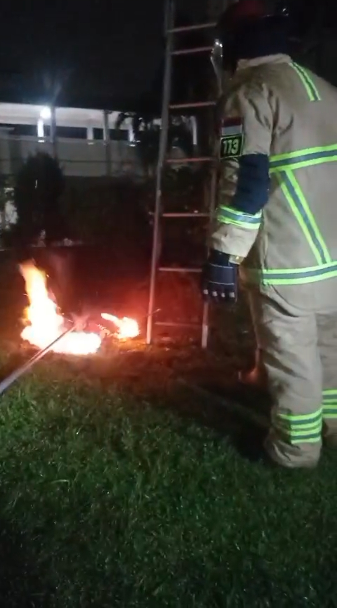 Penanganan Sarang Tawon