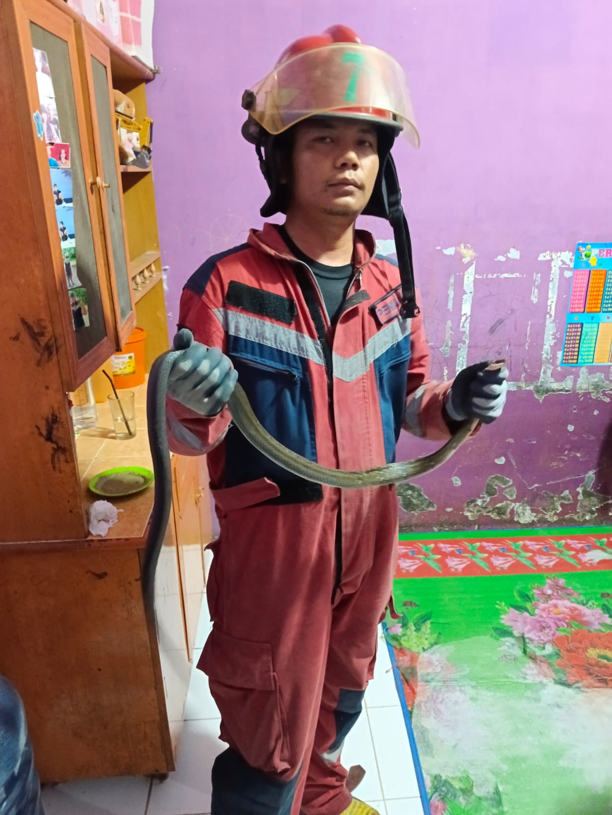 Penangkapan Ular