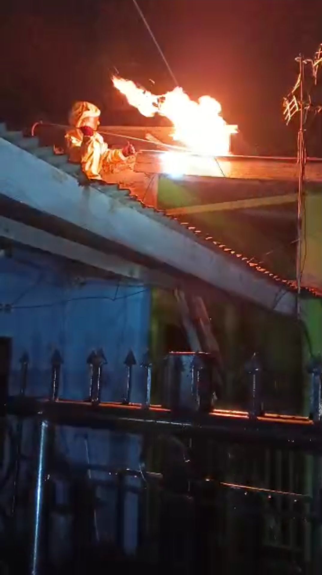 Penanganan Sarang Tawon