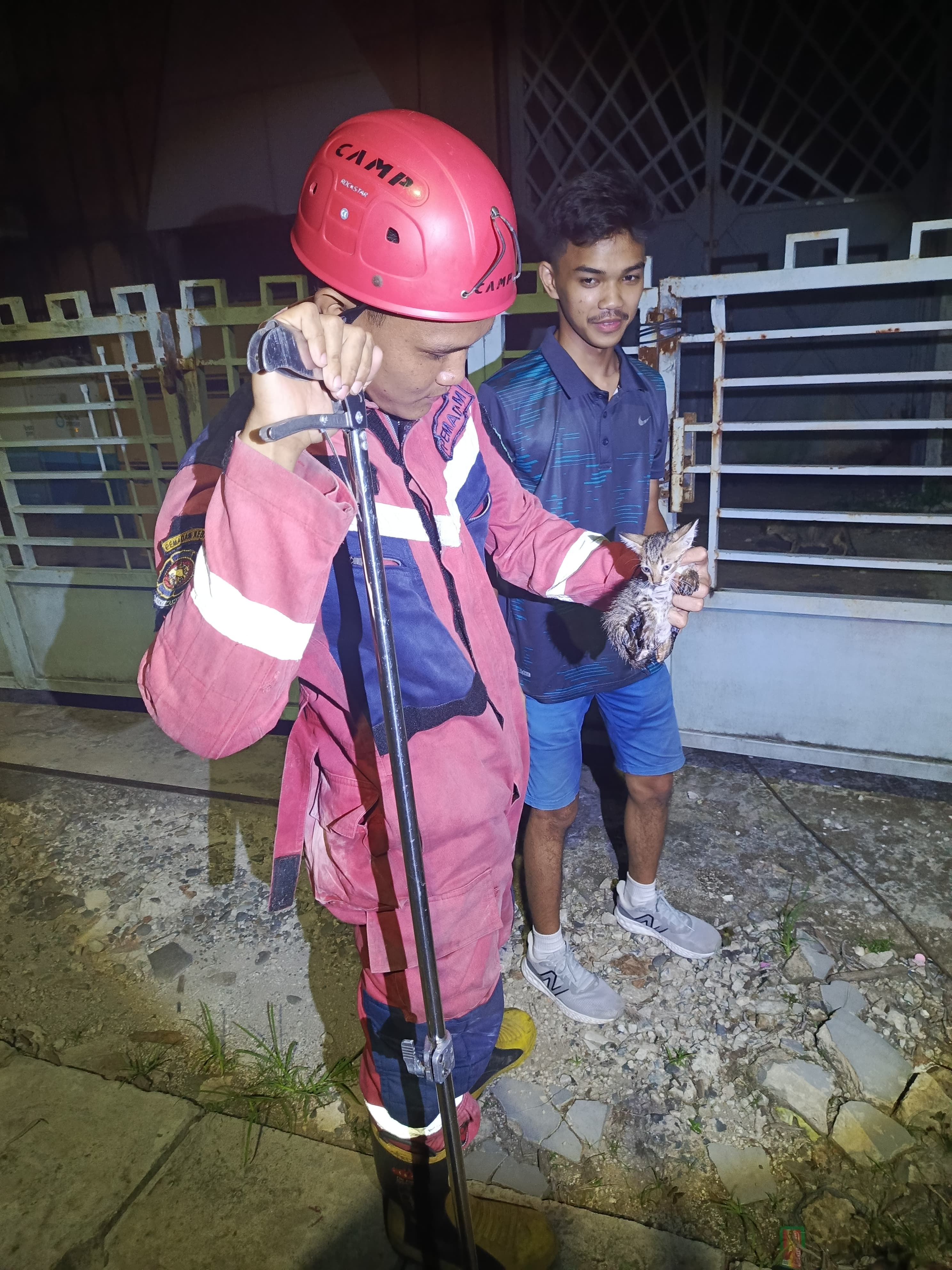 Penyelamatan Kucing di Gorong-Gorong