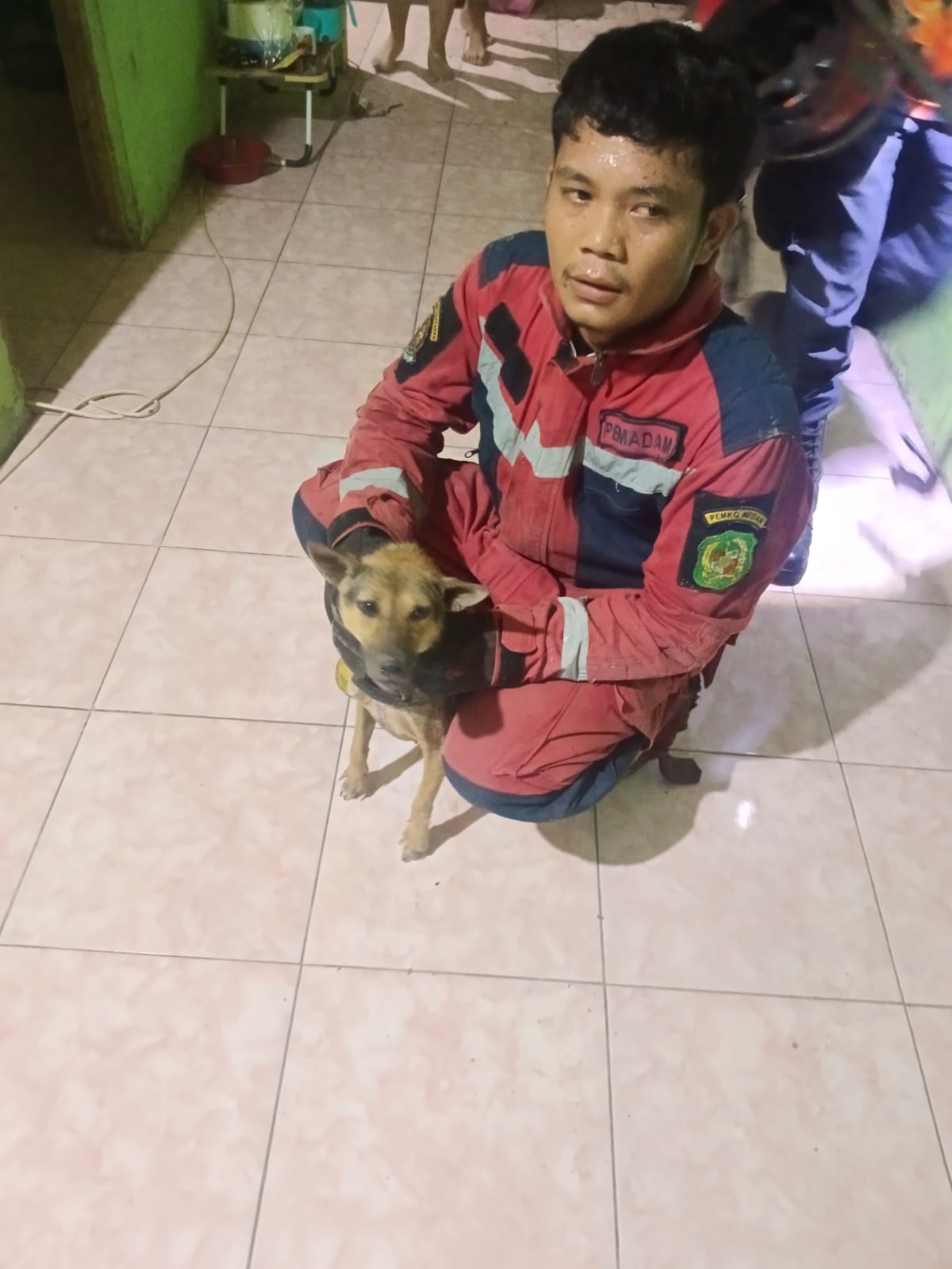 Animal Rescue (Anjing)