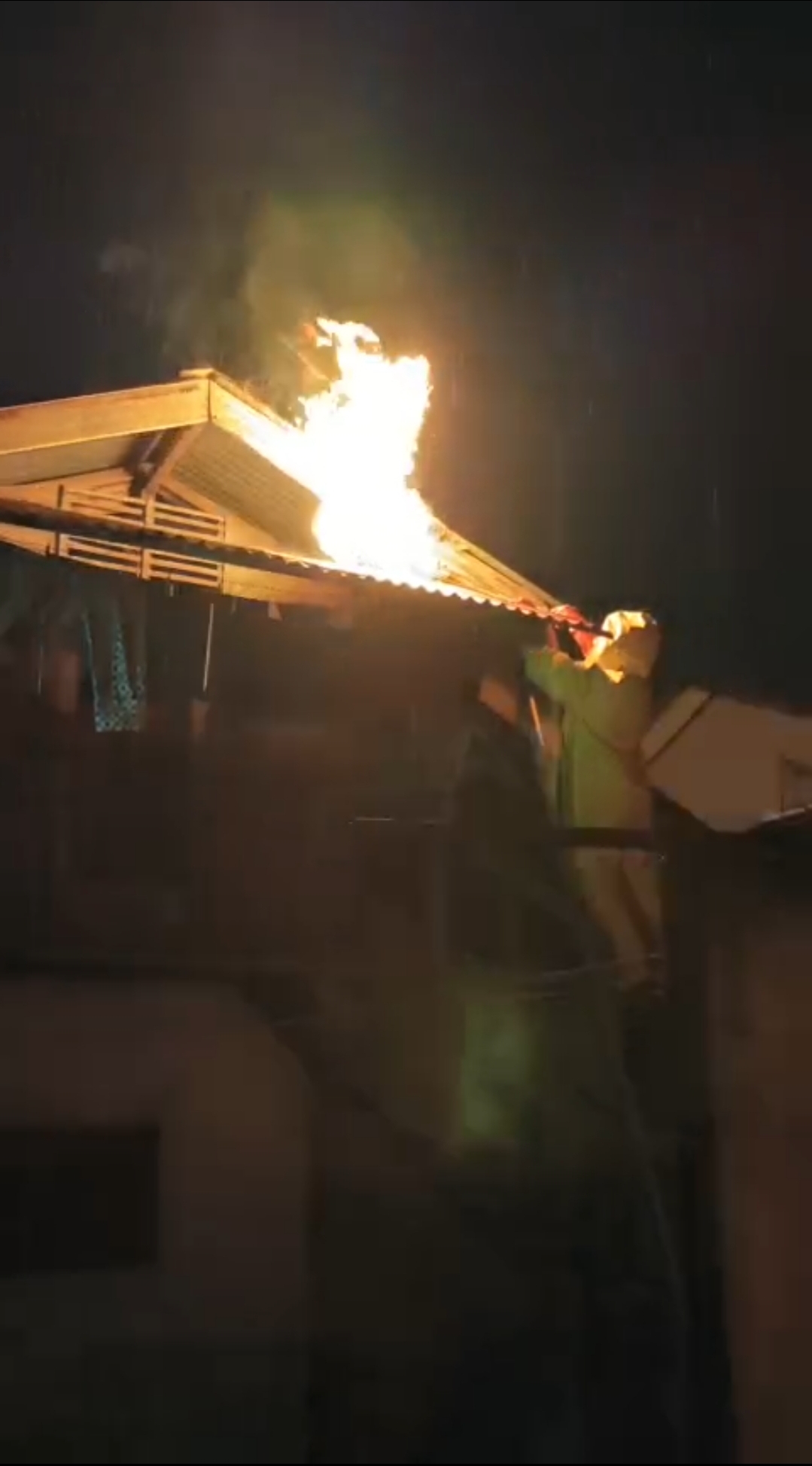 Penanganan Sarang Tawon