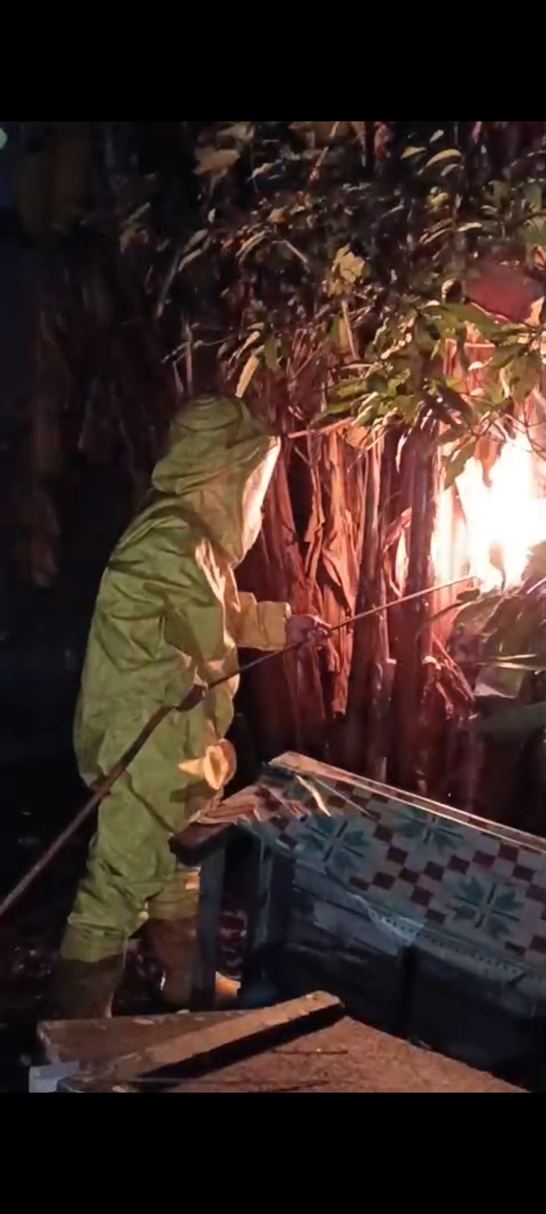 Pemusnahan Sarang Tawon